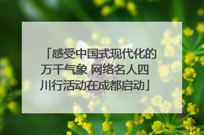 感受中国式现代化的万千气象 网络名人四川行活动在成都启动